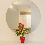 Apartmán In St Julian's, Perfect For Families Saint Julian's